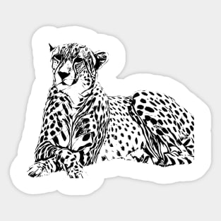 Cheetah Sticker